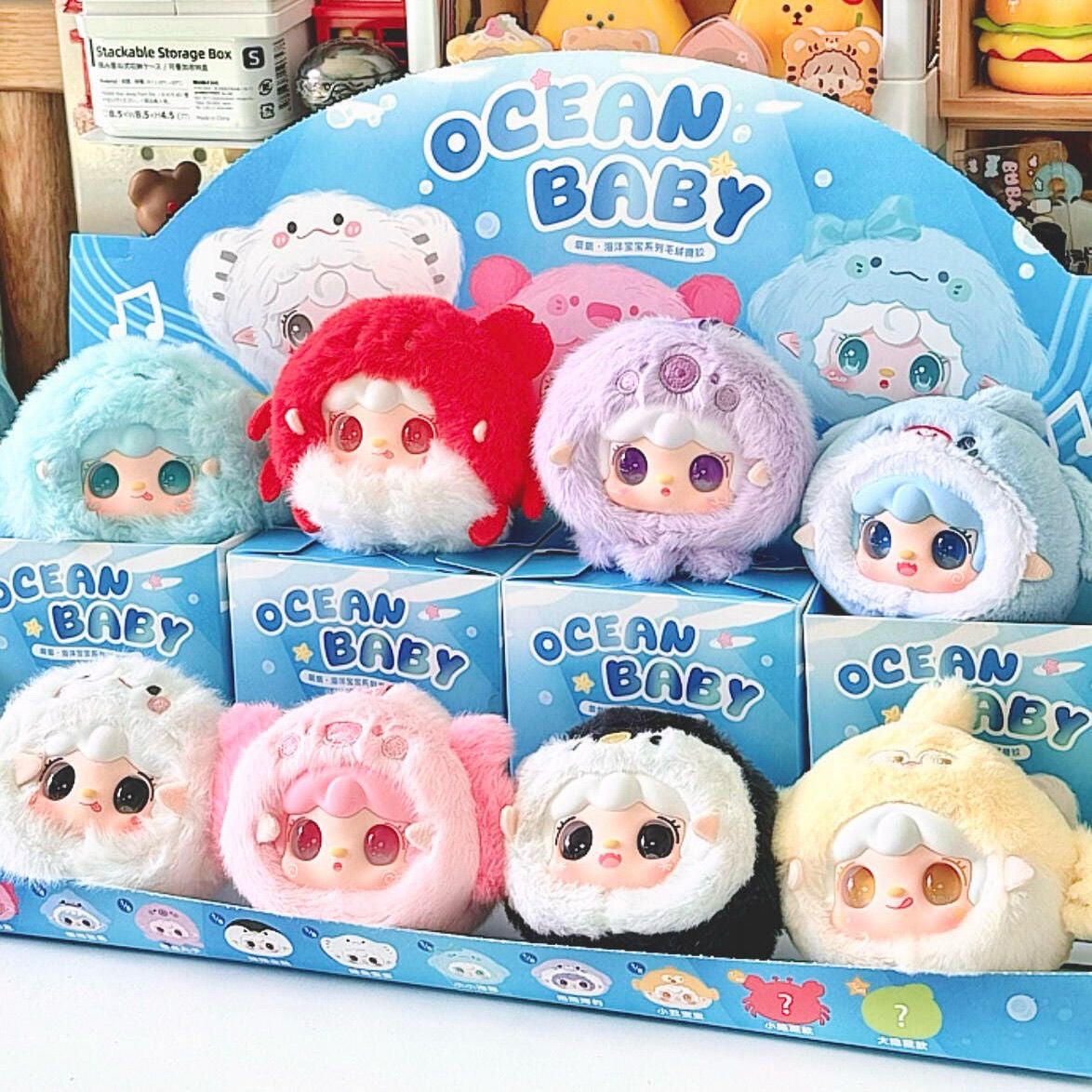 「OceanBaby」　シリーズ　ボックス