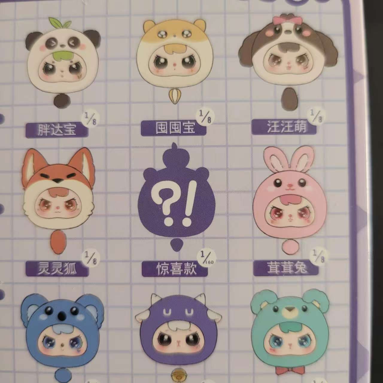 Z003　セール「TUANTUANZAI」　シリーズ　ボックス